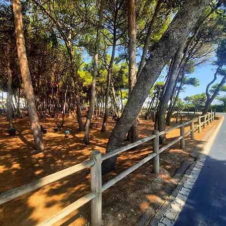 Attico Nautilus - Myho Casa Apartment Alba Adriatica