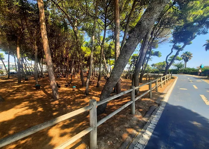 Attico Nautilus - Myho Casa アパート アルバ・アドリアティカ